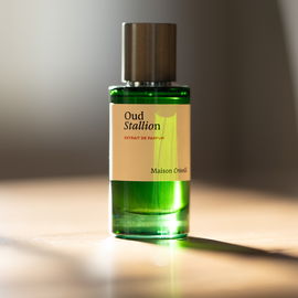 Oud Stallion - Maison Crivelli
