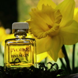 Ivoire de Balmain (1980) (Eau de Toilette) - Balmain