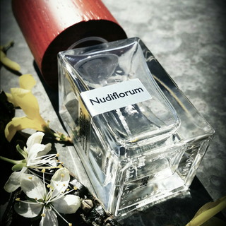 ☆Nudi_naso_flambi_flori_fiziert☆