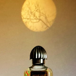 Es ist die Morgensonne - Monsieur de Rauch ist leider untergegangen   :-((