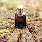 Maxim's - Maxim's pour Homme (1988) (von Morpheus1)