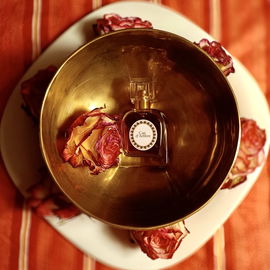 Cap d'Ambre - ID Parfums