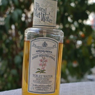 Night Scented Stock - Penhaligon's