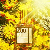 For the umpteenth time I have to gush my fanboy admiration at the genius of enfant terrible, (non-caped) crusader, justice fighter of the perfume world, Christoph Laudamiel.  This man can do no wrong in my eyes. Everlasting is my fave from The Zoo NYC,  Christophe's own brand. Everlasting is an ode to Narcissus and Labdanum, and even though I don't 