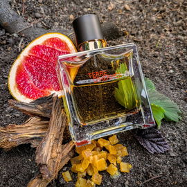 Terre d'Hermès (Parfum) - Hermès