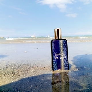 Change The Flow - Iceberg