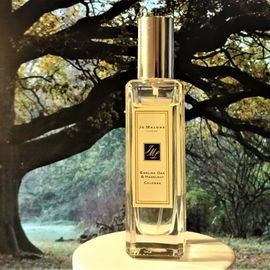 English Oak & Hazelnut - Jo Malone