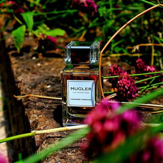 Fougère Furieuse - Mugler