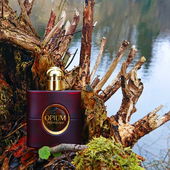 Alles wartet auf den Frühling .... und Opium wandert dann wieder ins Sommerquartier 🍀 Danke für Eure schönen Besuche 🥰 (by MadameLegras)