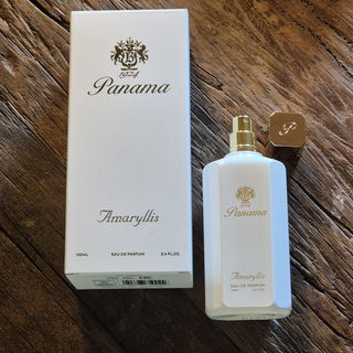 Amaryllis / Amaryllis Bianco von Panama 1924