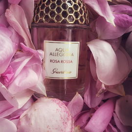 Aqua Allegoria Rosa Rossa - Guerlain