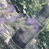 Lila Wolken (by Pollita)