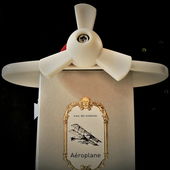 Zur Eröffnung des BER (von Floyd)