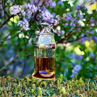 Haibah - The Spirit of Dubai