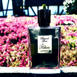 Herrliche, strahlende Frühlingstage momentan im Norden…