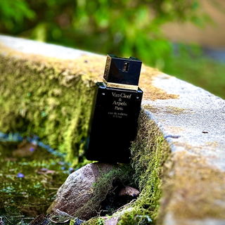Pour Homme (1978) (Eau de Toilette)