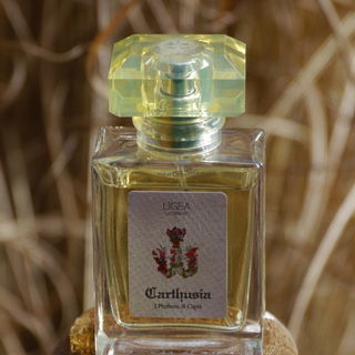 Ligea La Sirena (Eau de Toilette) von Carthusia
