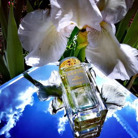 Iris Meadow - Aerin