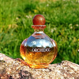 Orchidée (Eau de Toilette) - Yves Rocher