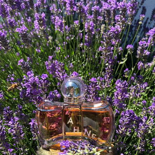Mon Exclusif by Guerlain