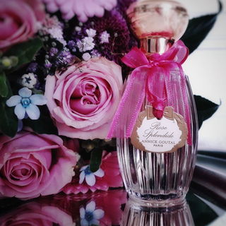 Rose Splendide von Goutal