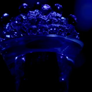 Gardelia (2025) - Bogue