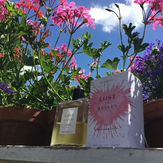 Freefall - Lost In Heaven by Francesca Bianchi