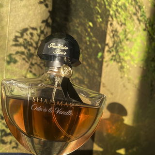 Shalimar Ode à la Vanille - Sur la route du Mexique von Guerlain