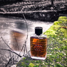 Guilty Absolute pour Homme - Gucci