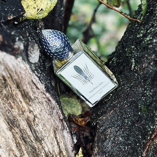by Holscentbar