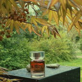 Freu mich über eure netten Worte 🤩 (von Pluto)