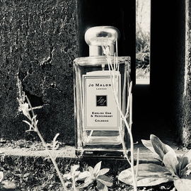 English Oak & Redcurrant - Jo Malone