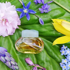 Knowing (Parfum) - Estēe Lauder