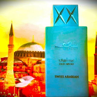 Shaghaf Oud Abyad von Swiss Arabian