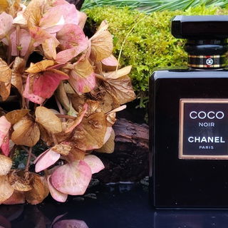 Coco Noir (Eau de Parfum) von Chanel