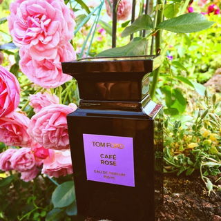 Café Rose (2012) - Tom Ford