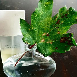 L'Eau d'Issey pour Homme (Eau de Toilette) - Issey Miyake