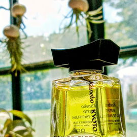 Kyoto (Eau de Parfum)