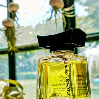 freue mich sehr über Euren Besuch bei den tanzenden, fliegenden oder doch schwimmenden (?) Tier(?)Pflanzen😘