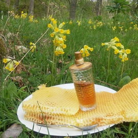 Miel & Citron / Honey & Lemon - L'Occitane en Provence
