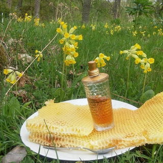 Miel & Citron / Honey & Lemon - L'Occitane en Provence