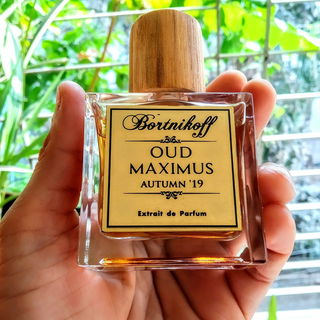 Oud Maximus Autumn '19 - Bortnikoff