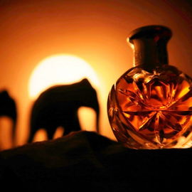 Safari (Eau de Parfum) - Ralph Lauren
