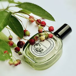 Philosykos Édition Limitée 2019 - Diptyque