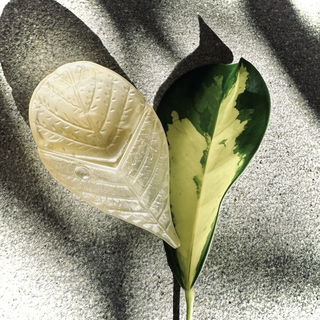 Parfum d'Été (Eau de Toilette) - Kenzo