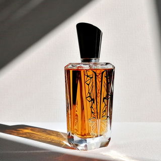 Miroir Miroir - Miroir des Joyaux - Mugler