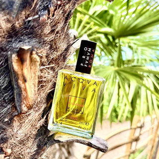 „Ist da hinten der Strand? Ach nö… ich döse lieber hier im Schatten unter Palmen“… 🏝️ Auch ein Flakon möchte mal Urlaub machen 😎