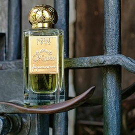 Café Chantant (Eau de Parfum) - Nobile 1942