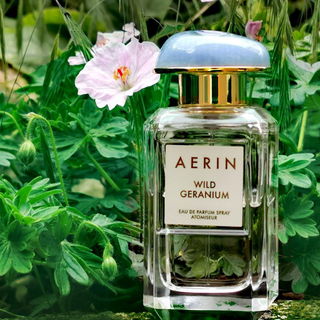 Das zart rose blühende Gewächs ist tatsächlich Geranium