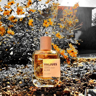 6 | Six - Valjues
